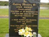 image of grave number 343854